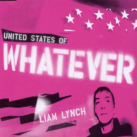 Liam Lynch United States Of Whatever Cd Jewel Case Ep 2003 R5249533 Discogs