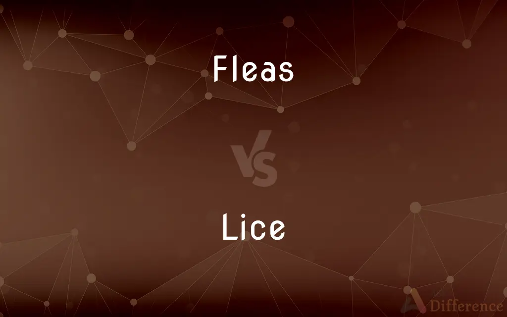 Lice Vs Fleas