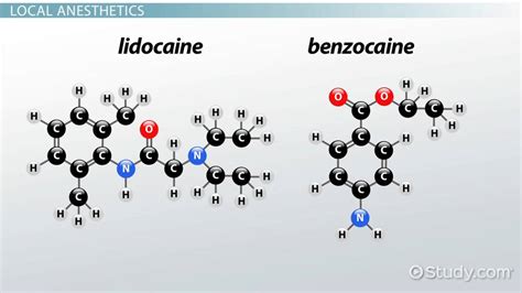 Lidocaine Vs Benzocaine Video Lesson Transcript Study Com Lidocaine Vs Benzocaine Video Lesson Transcript Study Com