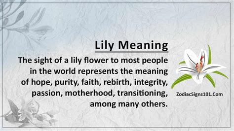 Lily Meaning The Flower Of Hera Symbol Sunsigns Net