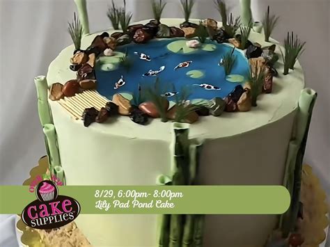 Lily Pad Pod Cake 1010 Nw Loop 410 Ste 102 San Antonio Tx 78213 Lily Pad Pod Cake 1010 Nw Loop 410 Ste 102 San Antonio Tx 78213