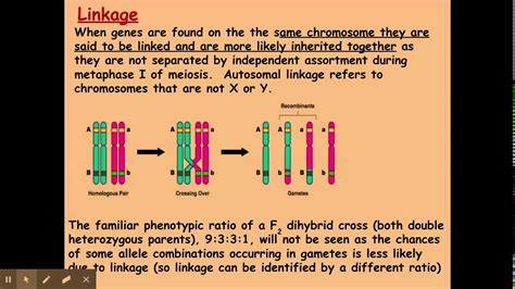 Linkage Institutiion Example: The Definitive Guide
