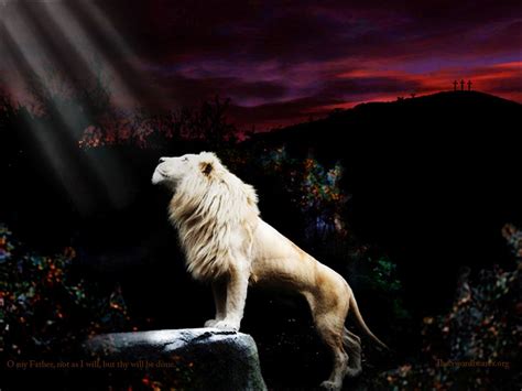 Lion Of Judah Wallpapers Top Free Lion Of Judah Backgrounds