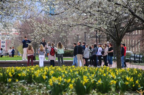 Lion Scouts Tour Guides To Be Paid Starting Summer 2023 Onward State