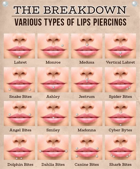 Lip Piercing Types For Girls Different Types Of Nostril Piercings Lip Piercing Types For Girls Different Types Of Nostril Piercings