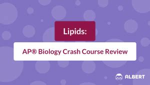 Lipids Ap Biology Crash Course Review Albert Io