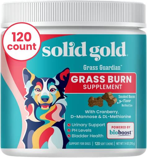Liquid Gold For Dogs Results At Paige Cremean Blog Liquid Gold For Dogs Results At Paige Cremean Blog
