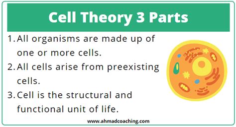 List The Three Parts Of The Cell Theory