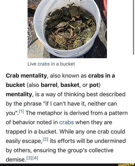 Live Crabs In A Bucket Crab Mentality Also Known As Crabs Ina Bucket