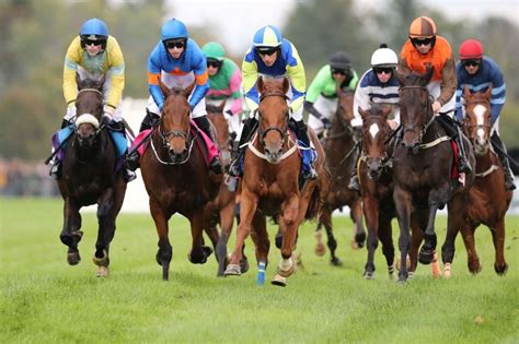 Looking Back On A Century Of World Class Horse Racing For A Good Cause At Far Hills Race Meeting Jersey S Best Looking Back On A Century Of World Class Horse Racing For A Good Cause At Far Hills Race Meeting Jersey S Best