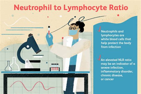 Low Lymphocytes High Neutrophils