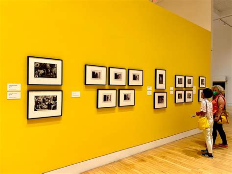 Lowe Art Museum To Host Second Showing Since Reopening To Public After