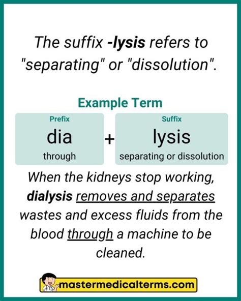 Lysis Medical Term