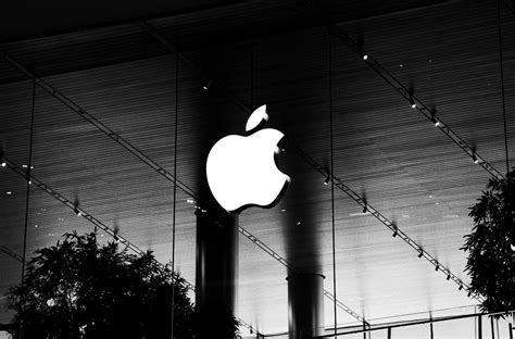 Magnificent 7 Earnings What To Watch From Apple Nvidia Tesla And Others