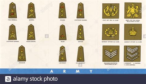 Major Insignia British Army Rank Structure Of The British Army