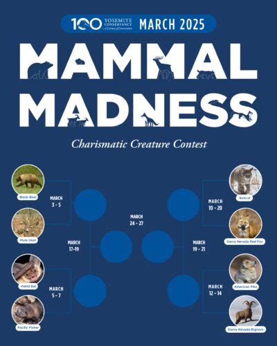 Mammal Madness 2025 Results Henry Cartledge Mammal Madness 2025 Results Henry Cartledge