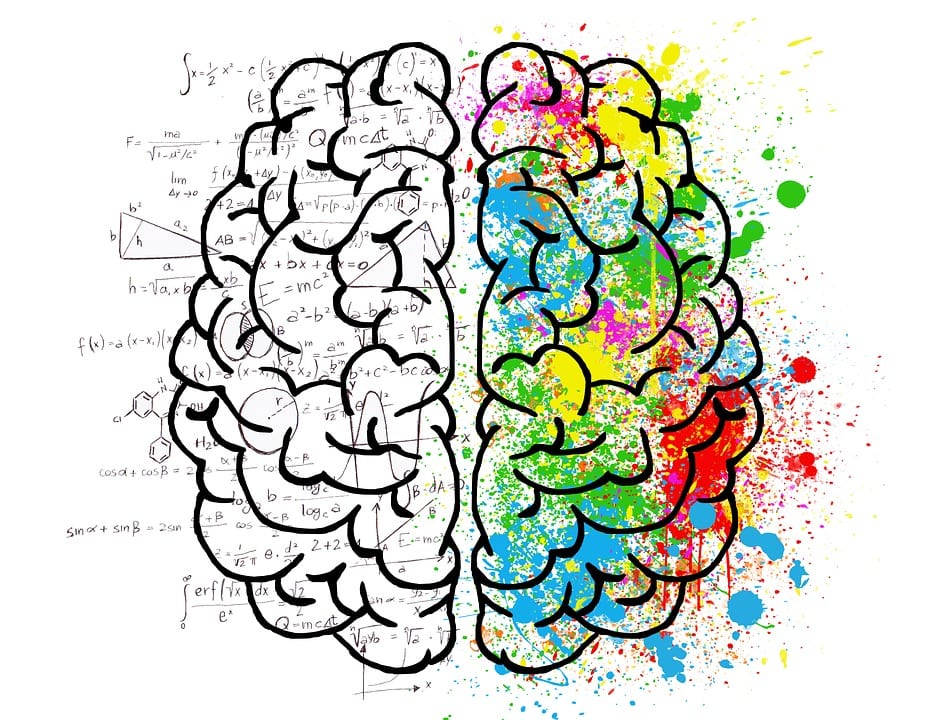 Mapping Emotion In The Brain Hd Today E News Insights From Human