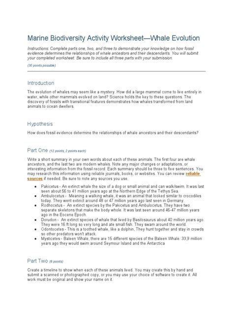 Marine Biodiversity Activity Worksheet Whale Evolution Prntbl Marine Biodiversity Activity Worksheet Whale Evolution Prntbl