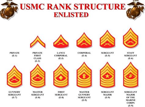 Marine Corp Enlisted Ranks Analysiszik