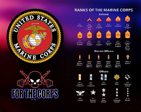 Marine Corps Major Insignia Marines Mil Ranks Xntt