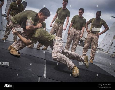 Marine Corps Martial Arts Program 27659678060 Stock Photo Alamy