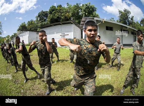 Marine Corps Martial Arts Training Program Hi Res Stock Photography And