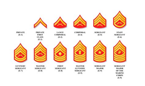 Marine Corps Ranks Kentwood Mcjrotc