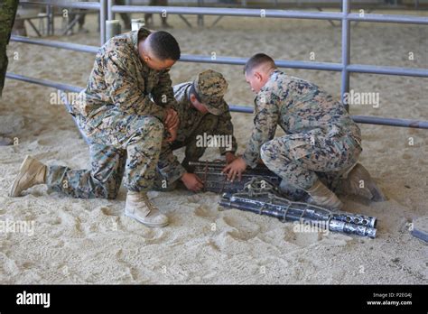Marines Prepare A Mantee Pack With A 50 Caliber Machine Gun At The