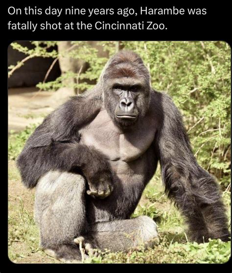 May Off Topic Fandom