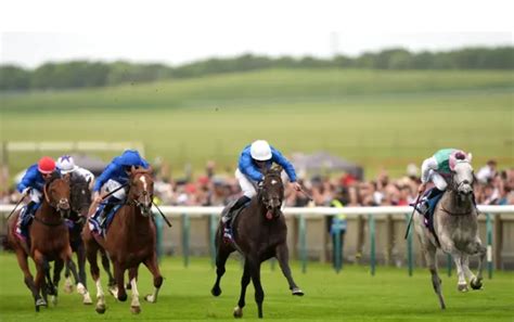 May S Best Horse Racing Tipsters News Community Articles Tipstrr