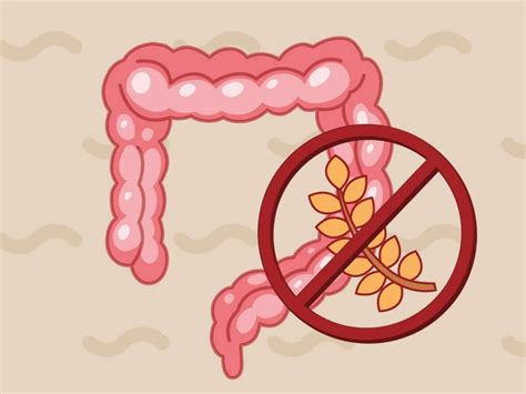 Mayo Clinic Q And A No Proven Way To Prevent Celiac Disease Mayo Clinic News Network