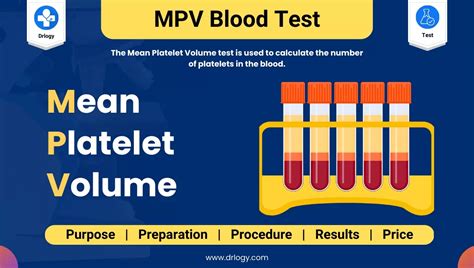 Mean Platelet Volume Mpv Test 10 Brilliant Facts