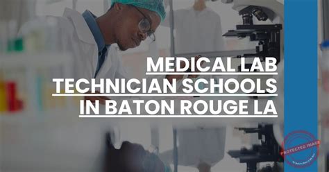Medical Lab Technician Schools In Baton Rouge La Medtech 101 Medical Lab Technician Schools In Baton Rouge La Medtech 101