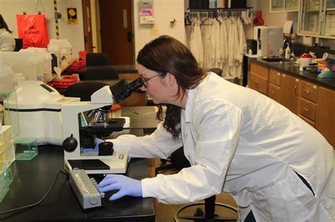 Medical Laboratory Assistant Southwestern Illinois College