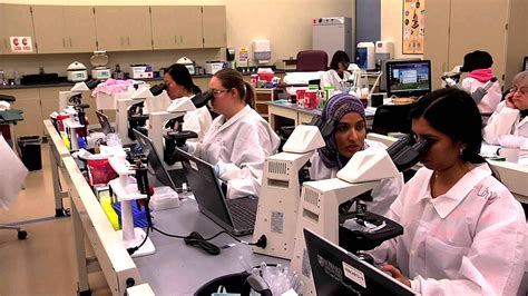 Medical Laboratory Technician School Bezytech Medical Laboratory Technician School Bezytech