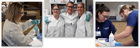 Medical Laboratory Technician Schools In Colorado Collegelearners Com Medical Laboratory Technician Schools In Colorado Collegelearners Com