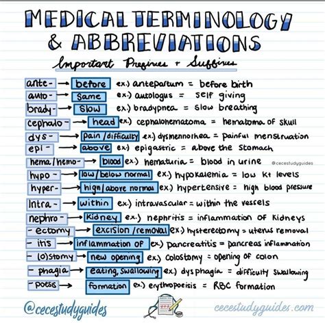 Medical Terminology Abbreviation