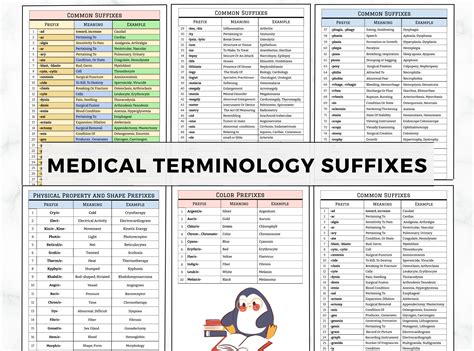 Medical Terminology Flashcards Medical Terminology Prefixes And Medical Terminology Flashcards Medical Terminology Prefixes And