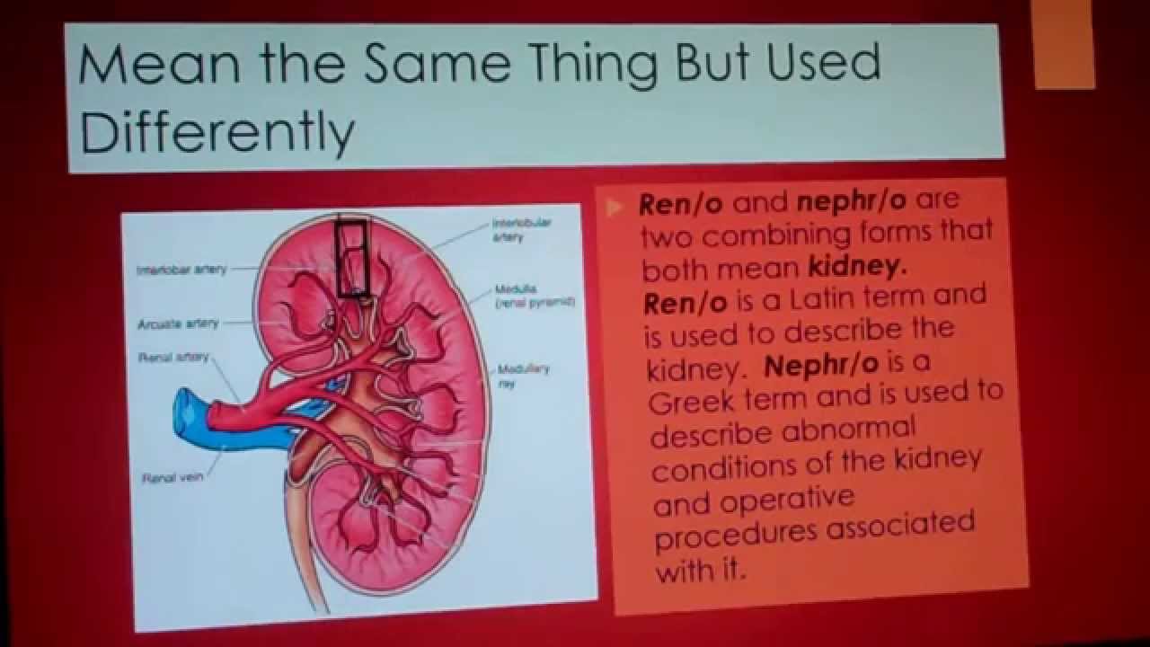 Medical Terminology Lesson 6 Youtube