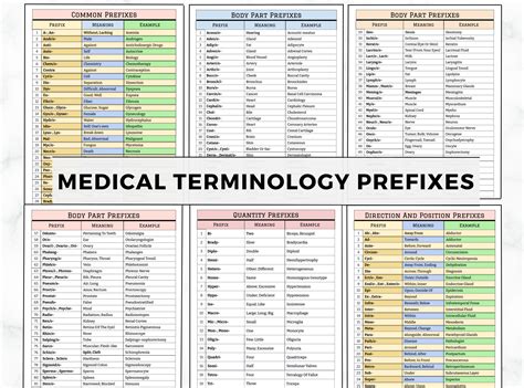 Medical Terminology Prefix And Suffix Chart Vrogue Co