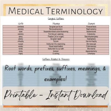 Medical Terminology Roots Prefixes Suffixes Meanings Cheat Sheet Etsy Medical Terminology Roots Prefixes Suffixes Meanings Cheat Sheet Etsy