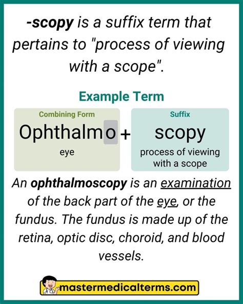 Medical Terminology Scopy