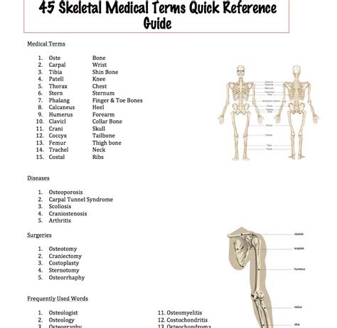 Medical Terminology Skeletal System Ppt Download Medical Terminology Skeletal System Ppt Download