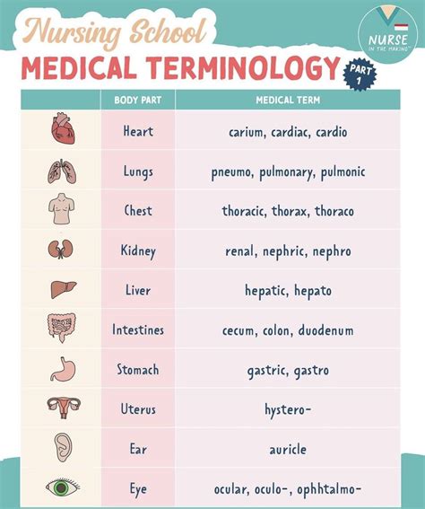 Medical Terminology Study Medical Words Medical Terminology Medical Terminology Study Medical Words Medical Terminology