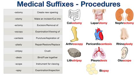 Medical Words With Suffix