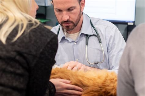 Meet Our Veterinary Specialists At Veterinary Medical Center Of Long Meet Our Veterinary Specialists At Veterinary Medical Center Of Long