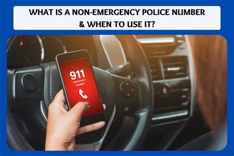 Melbourne Fl Police Non Emergency Number Sorpatent