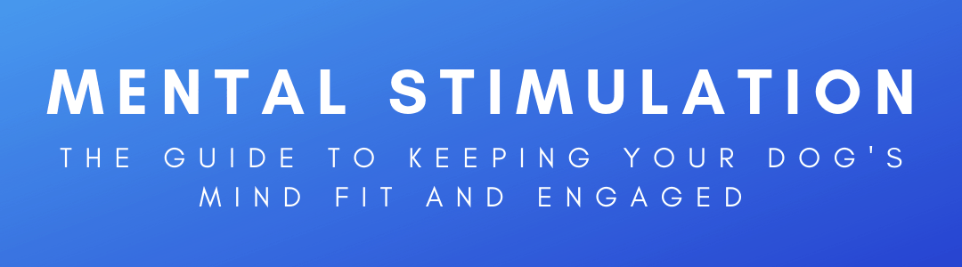 Mental Stimulation Keeping Your Dog S Mind Fit And Engaged Trending