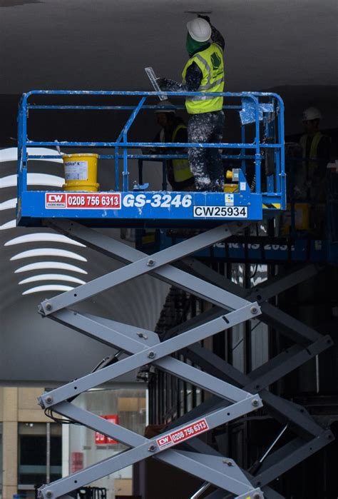 Unlock the Mystery of the 'Mewp' Phenomenon