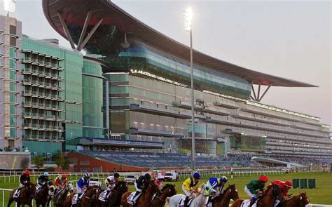 Meydan Racing What S On